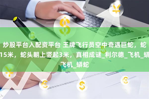 炒股平台入配资平台 王牌飞行员空中奇遇巨蛇，蛇身15米，蛇头朝上竖起3米，真相成谜_利尔德_飞机_蟒蛇